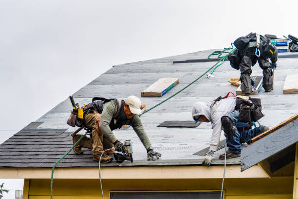 Professional Gutter Installation technician working in Iona, MN